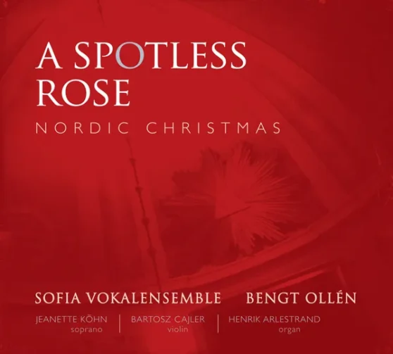 A Spotless Rose