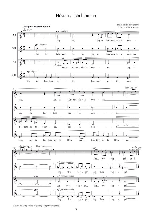 Fem-allvarsamma-dikter-till-tryck-3