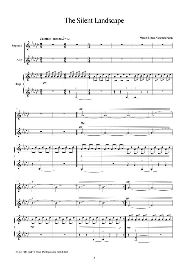 The-Silent-Landscape-till-tryck-3